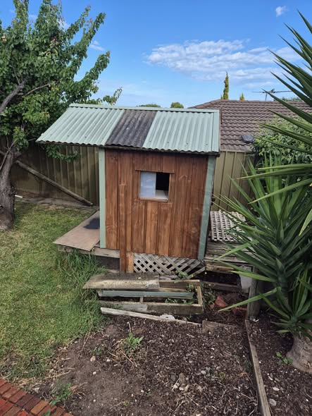 Old timber and tin garden shed in the corner of a backyard